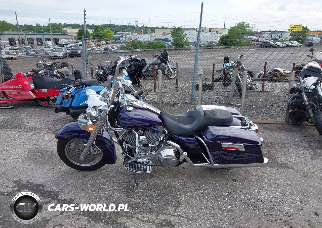 2002 Harley-Davidson Flhrsei VIN:1HD1PDC132Y953929 - 13
