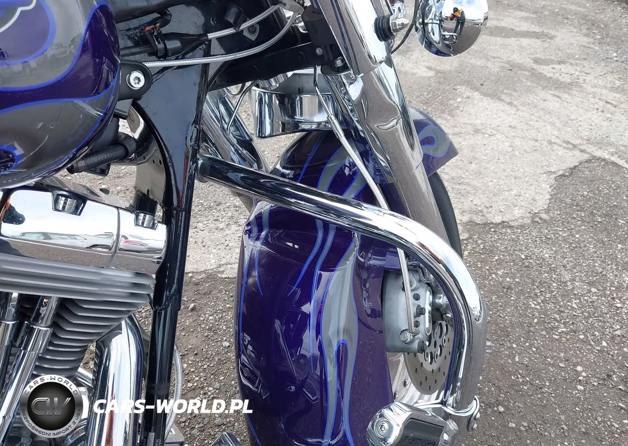 2002 Harley-Davidson Flhrsei VIN:1HD1PDC132Y953929 - 14