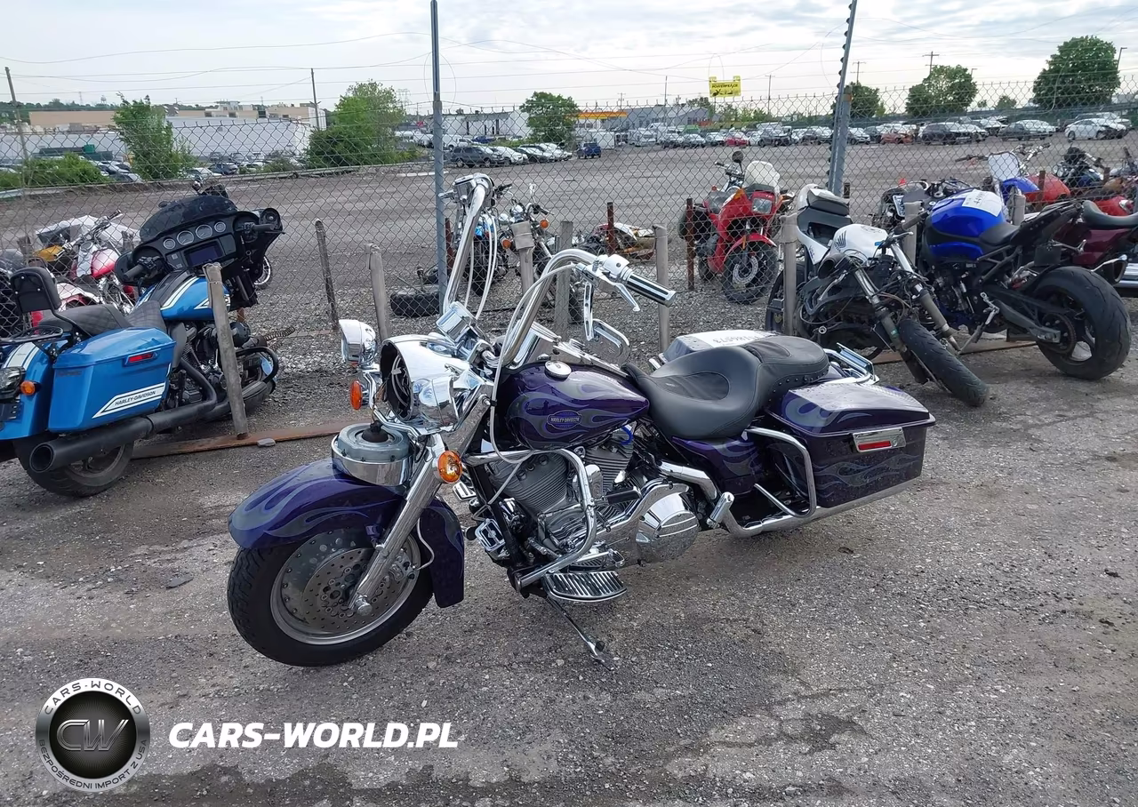 2002 Harley-Davidson Flhrsei VIN:1HD1PDC132Y953929 - 2