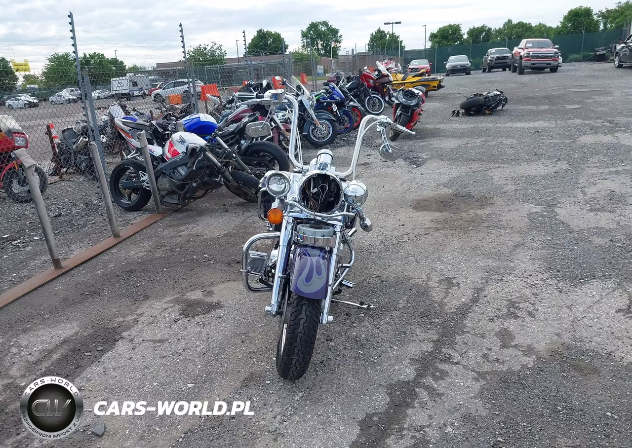 2002 Harley-Davidson Flhrsei VIN:1HD1PDC132Y953929 - 5