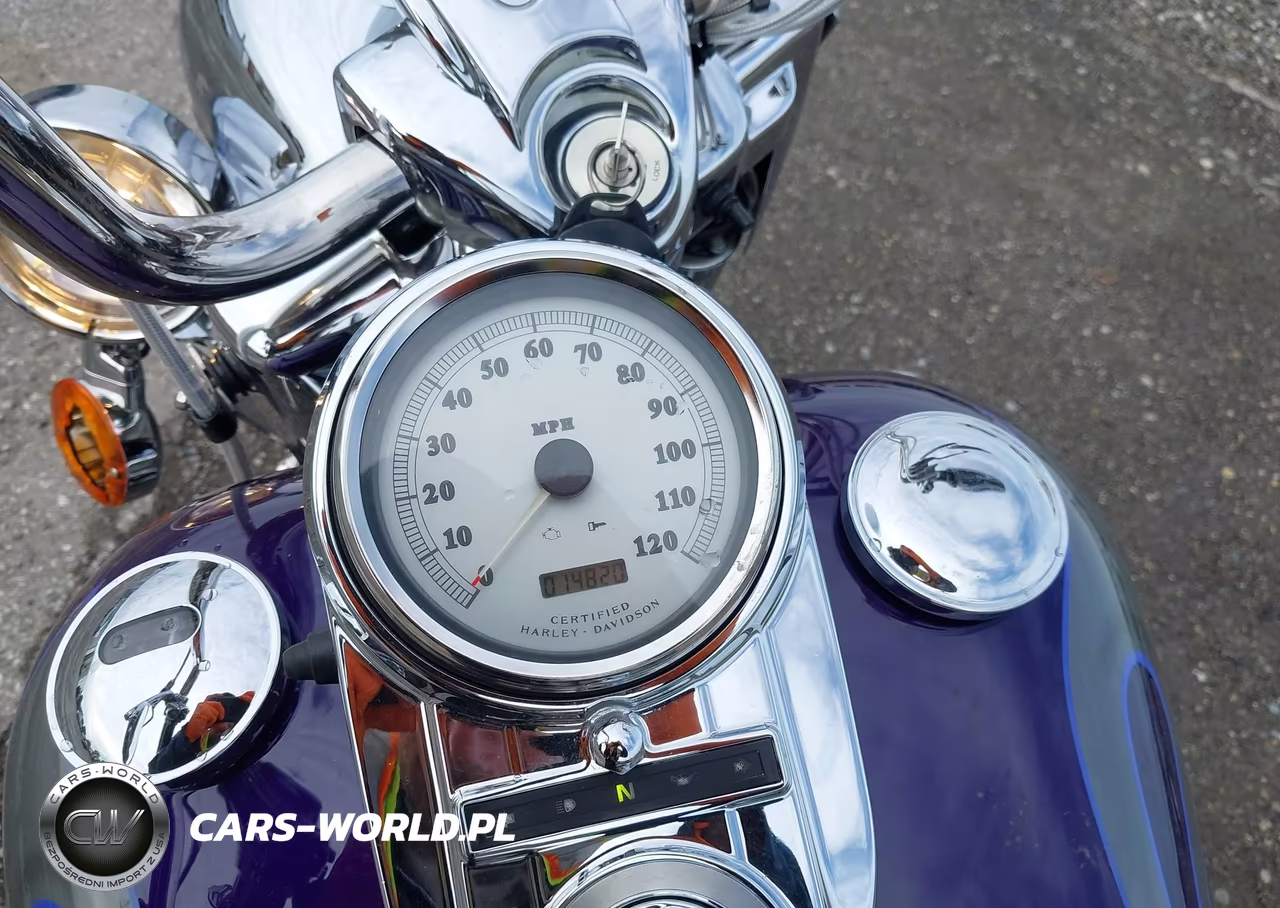 2002 Harley-Davidson Flhrsei VIN:1HD1PDC132Y953929 - 7