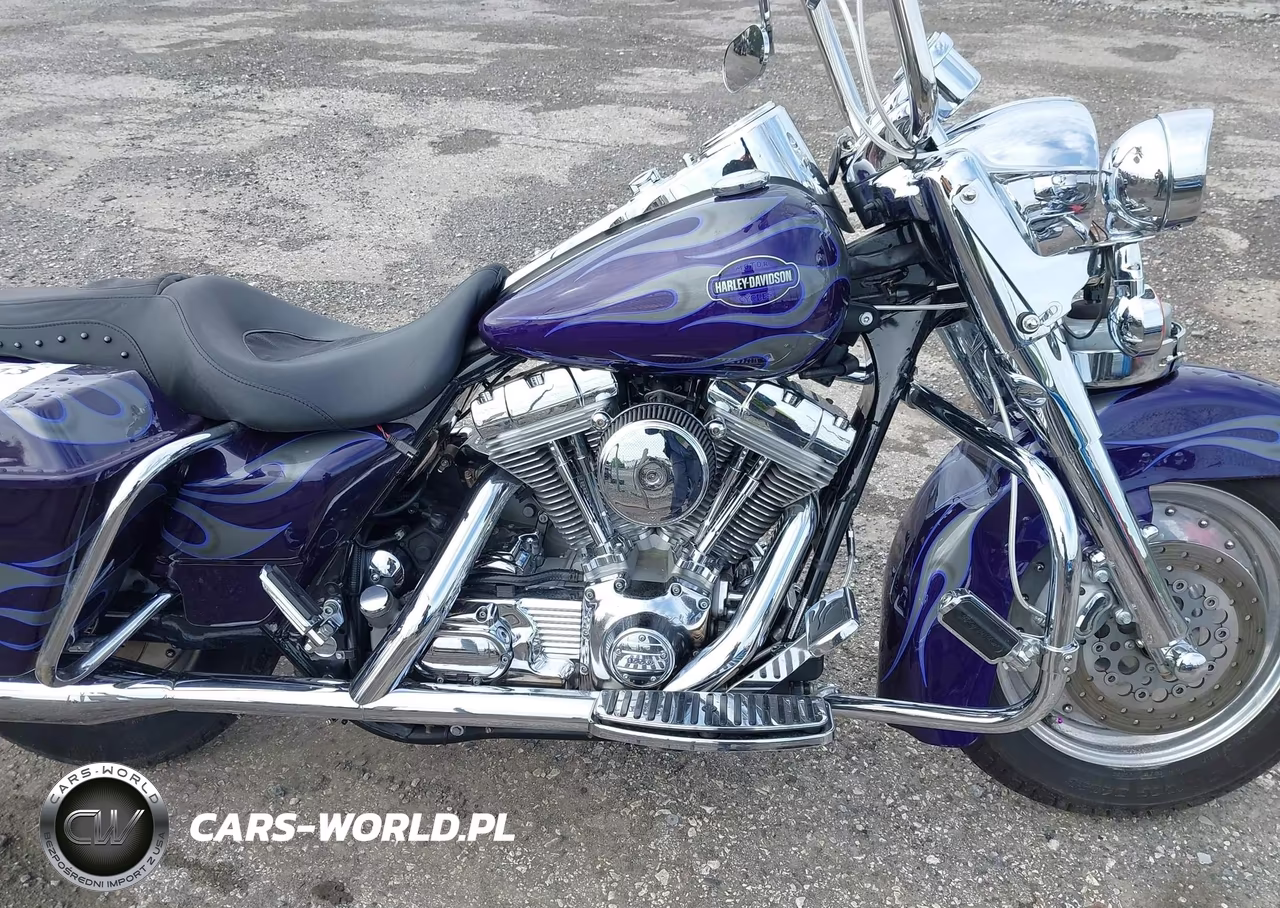 2002 Harley-Davidson Flhrsei VIN:1HD1PDC132Y953929 - 8