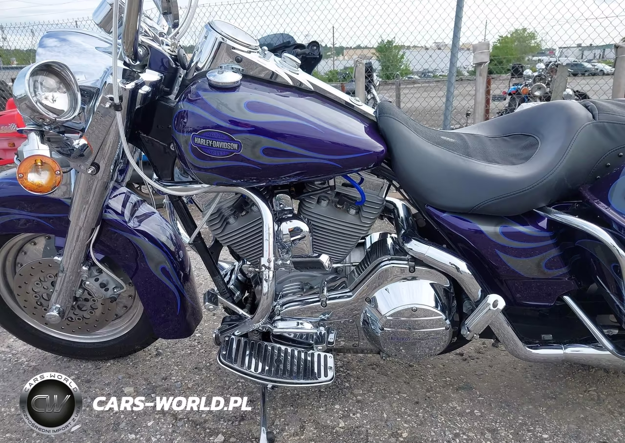 2002 Harley-Davidson Flhrsei VIN:1HD1PDC132Y953929 - 9