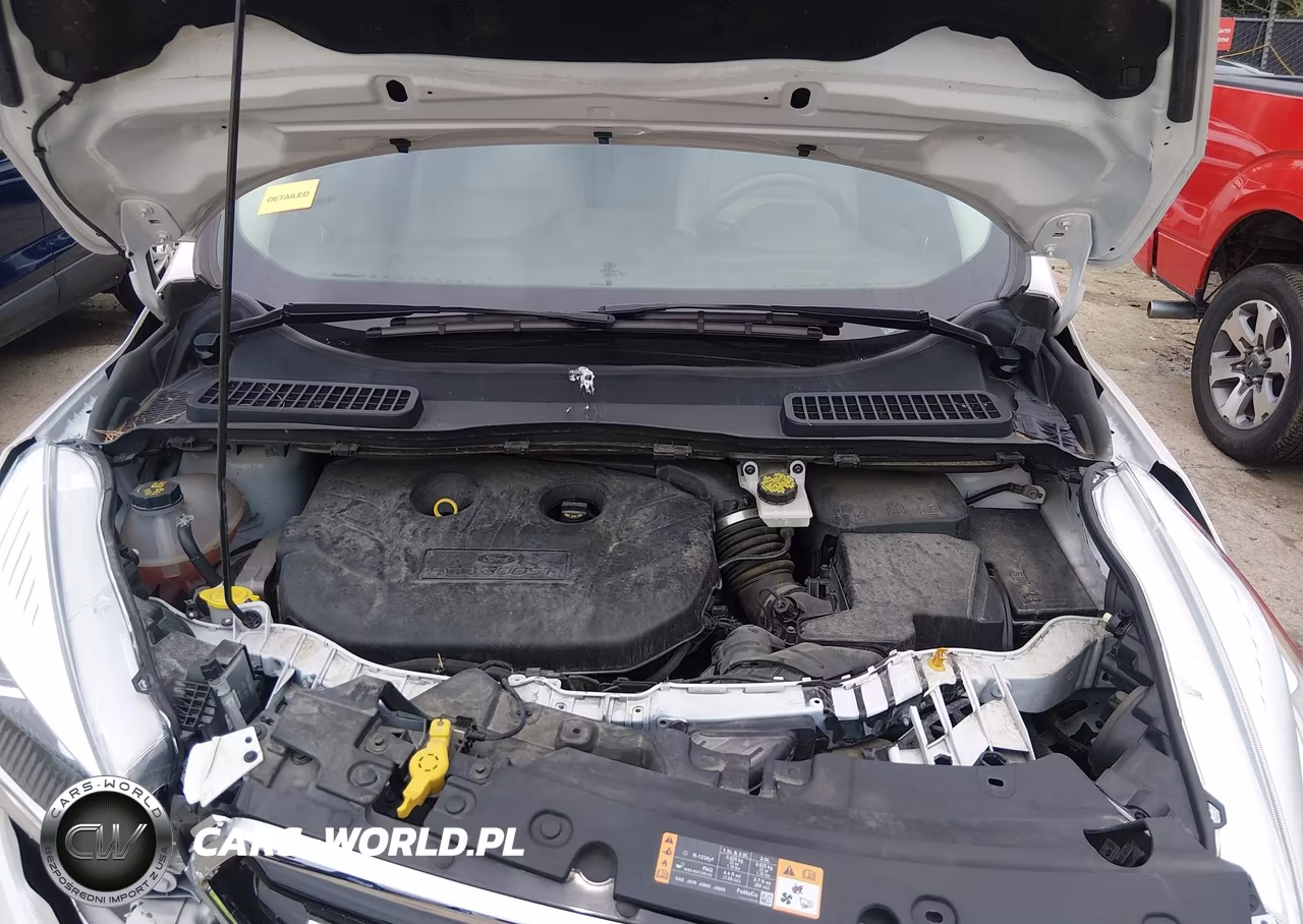 2019 Ford Escape Titanium VIN:1FMCU0J91KUC52975 - 10