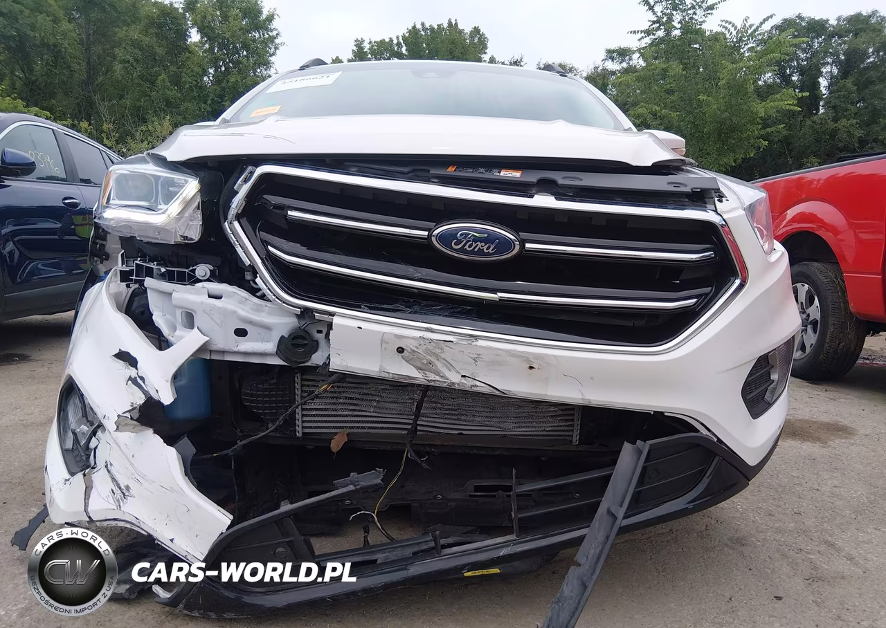 2019 Ford Escape Titanium VIN:1FMCU0J91KUC52975 - 6