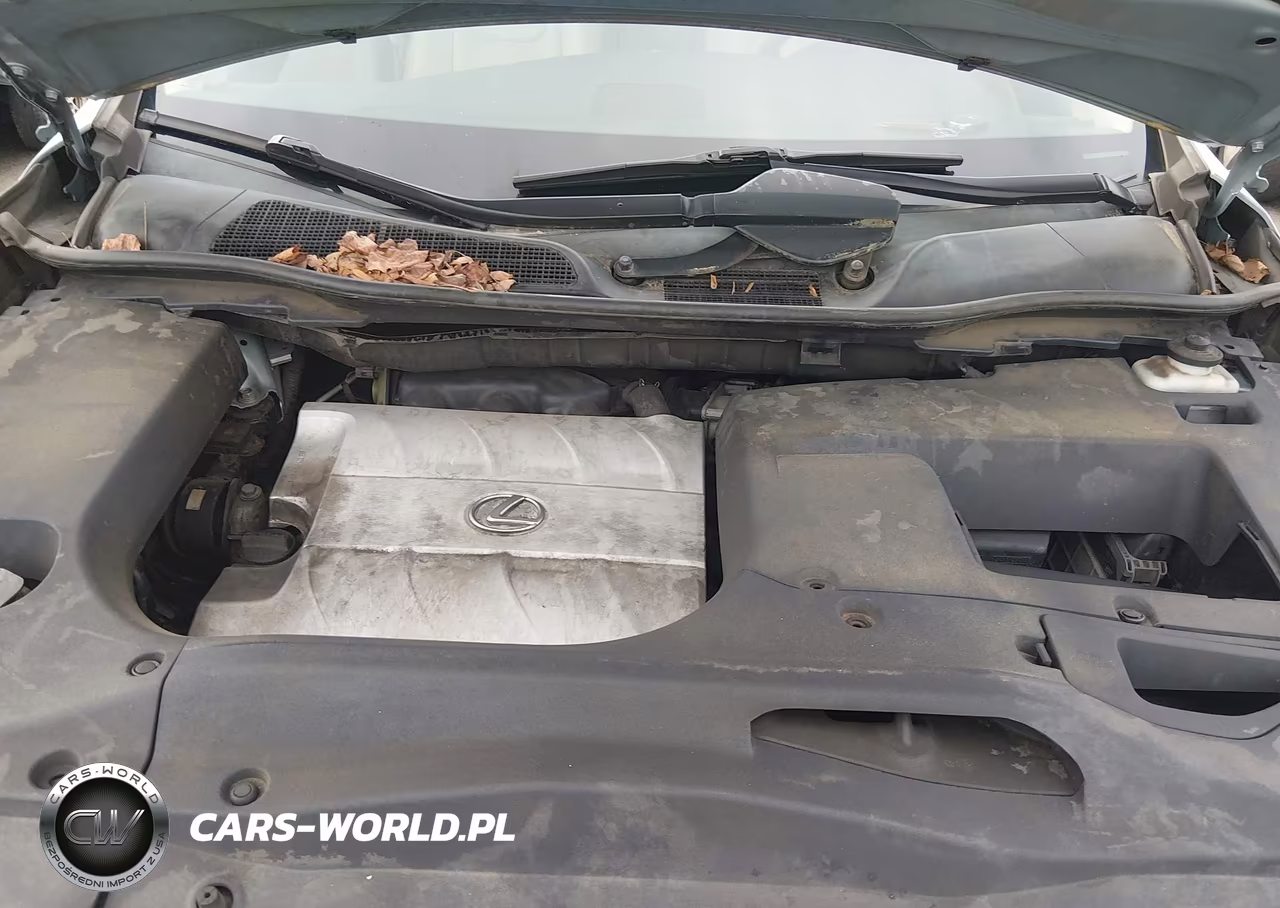 2010 Lexus Rx 350 VIN:2T2ZK1BA8AC037054 - 10