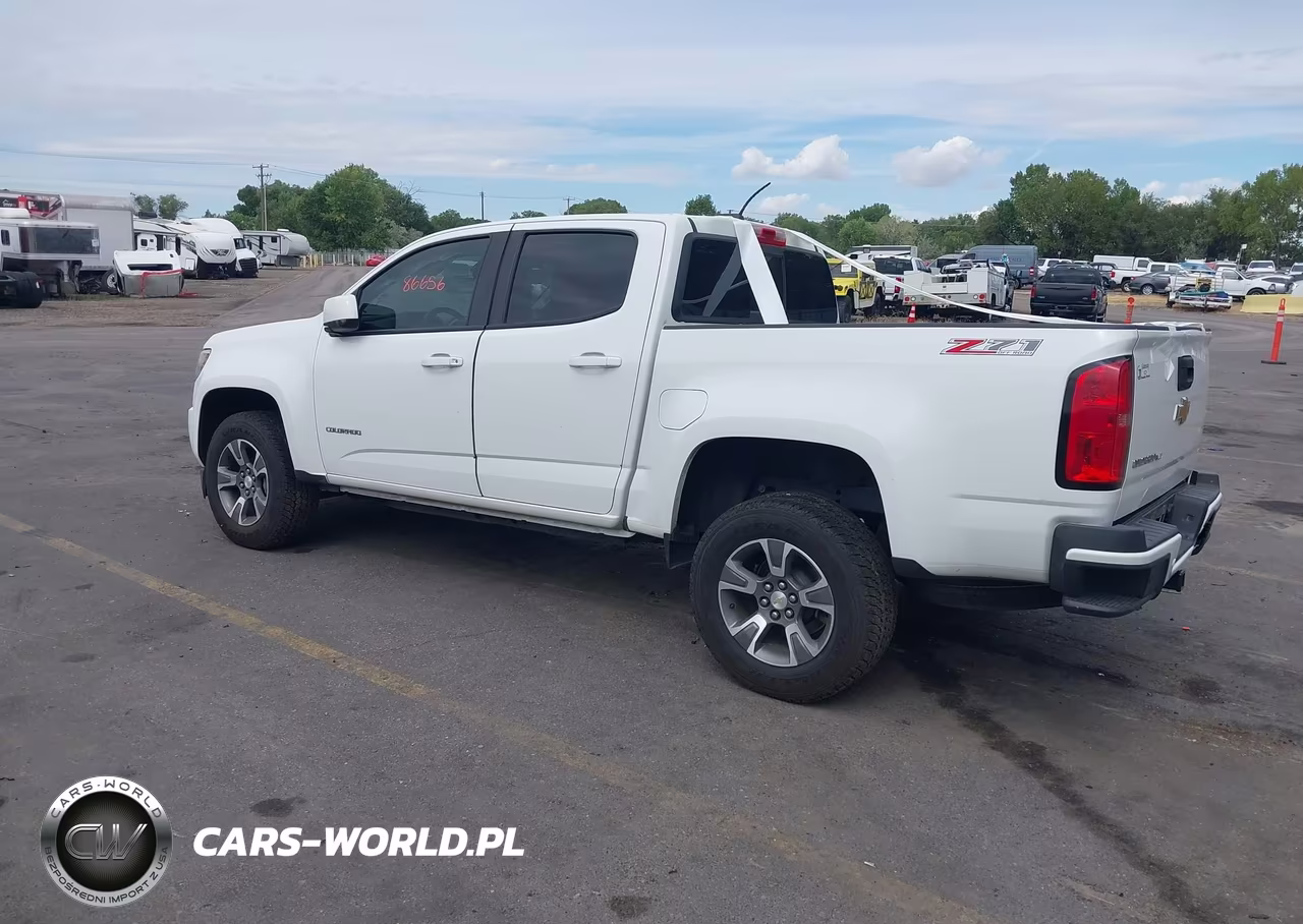 2019 Chevrolet Colorado Z71 VIN:1GCGTDEN7K1155918 - 3