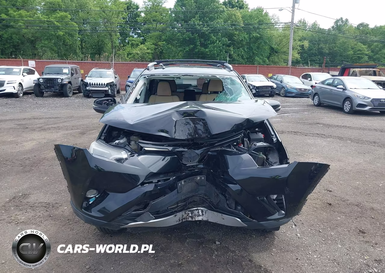 2016 Toyota Rav4 Xle VIN:2T3RFREVXGW461002 - 12