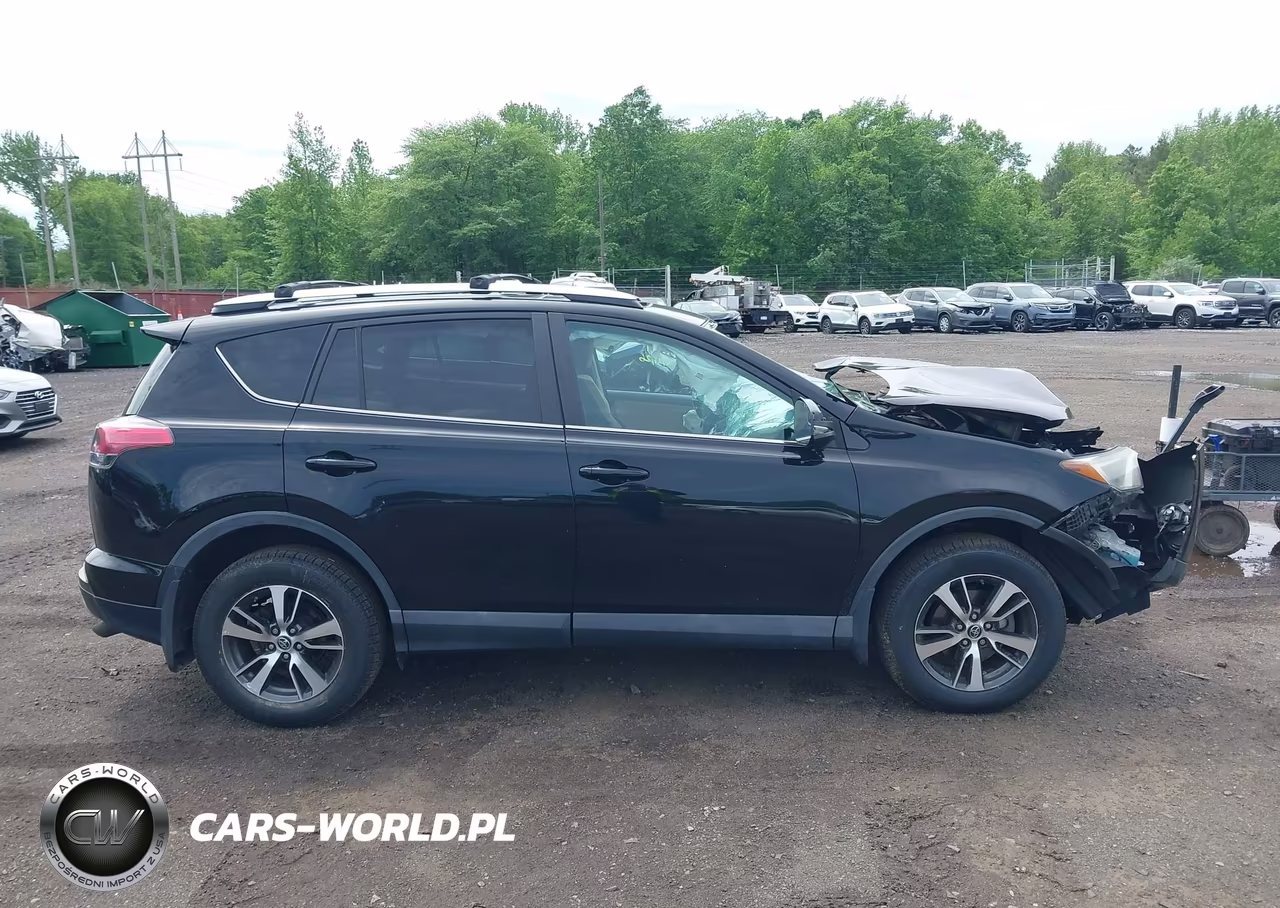 2016 Toyota Rav4 Xle VIN:2T3RFREVXGW461002 - 13