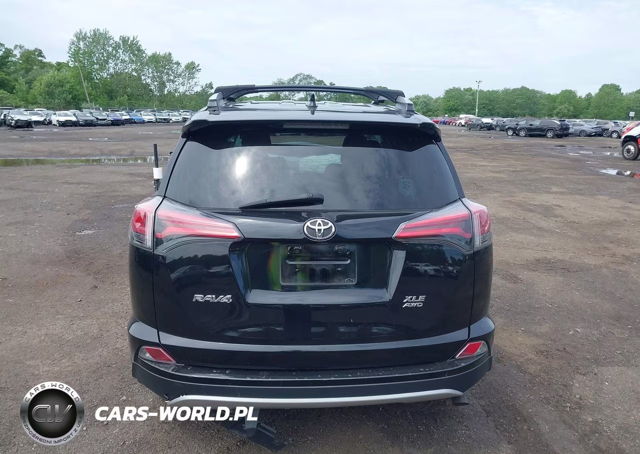 2016 Toyota Rav4 Xle VIN:2T3RFREVXGW461002 - 16