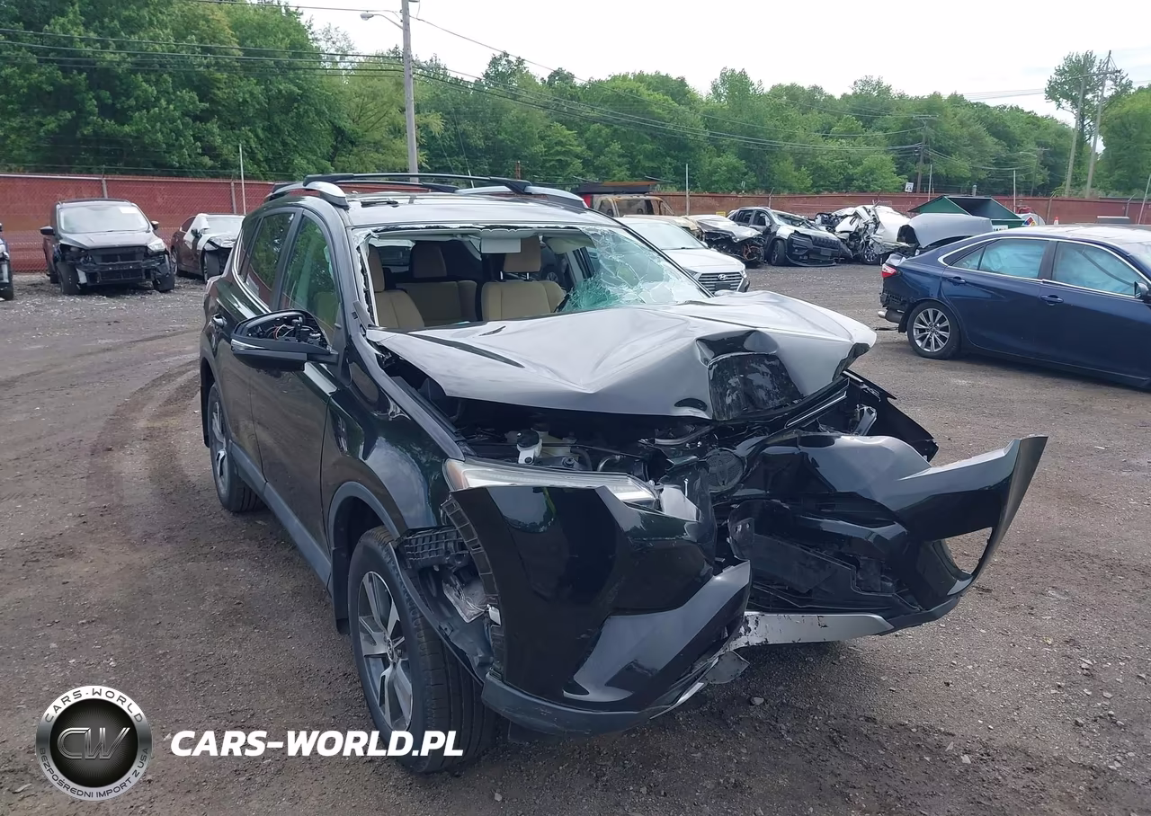 2016 Toyota Rav4 Xle VIN:2T3RFREVXGW461002 - 17