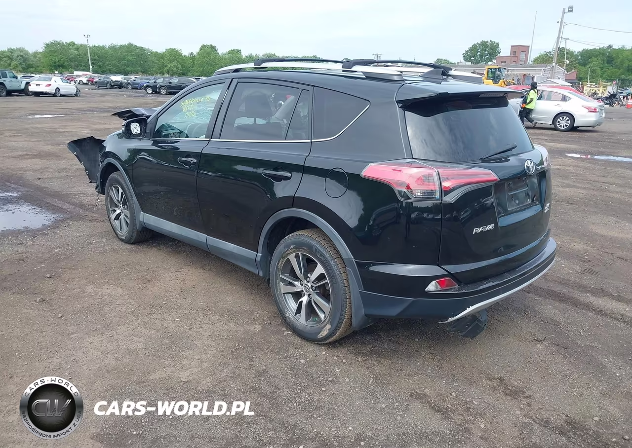 2016 Toyota Rav4 Xle VIN:2T3RFREVXGW461002 - 3