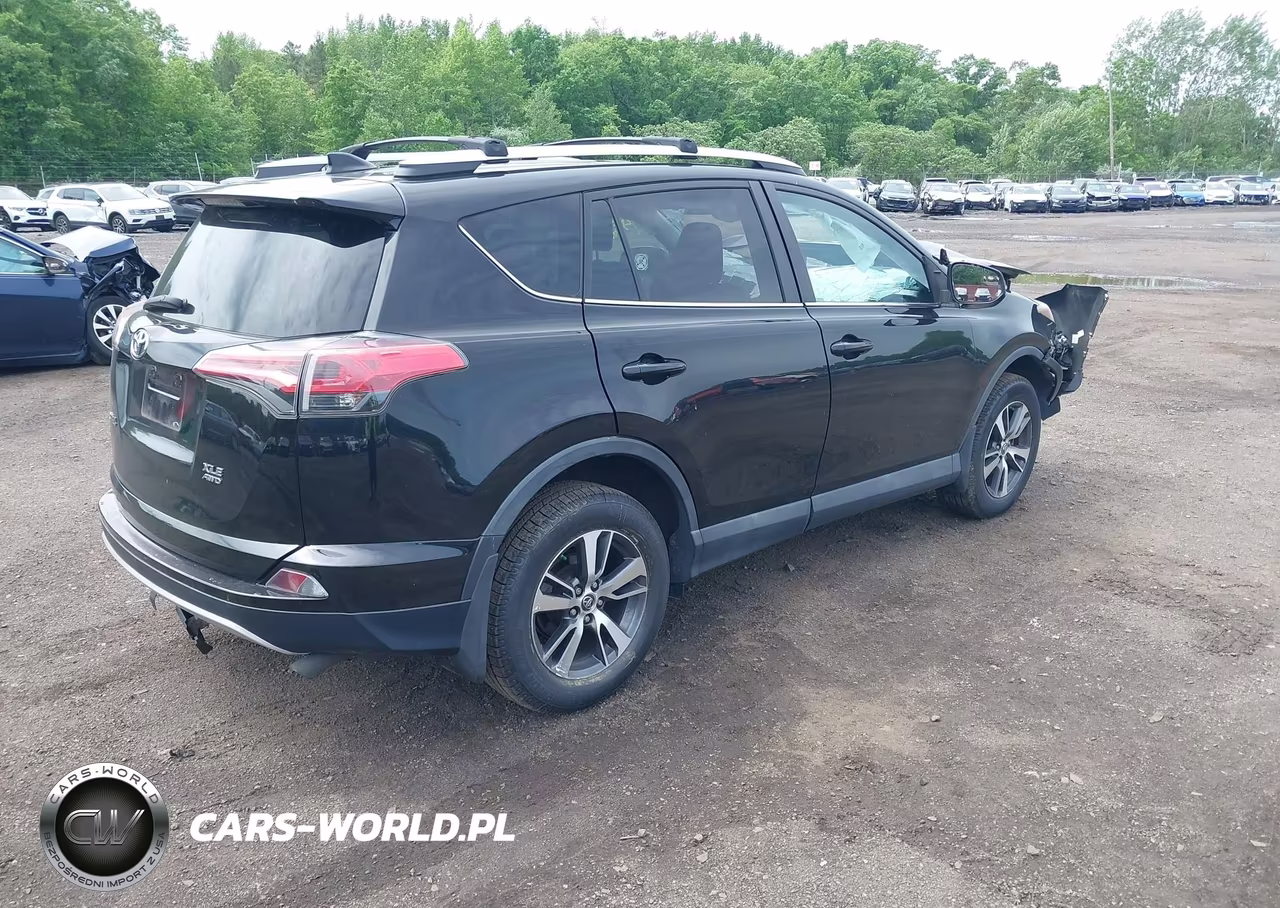 2016 Toyota Rav4 Xle VIN:2T3RFREVXGW461002 - 4