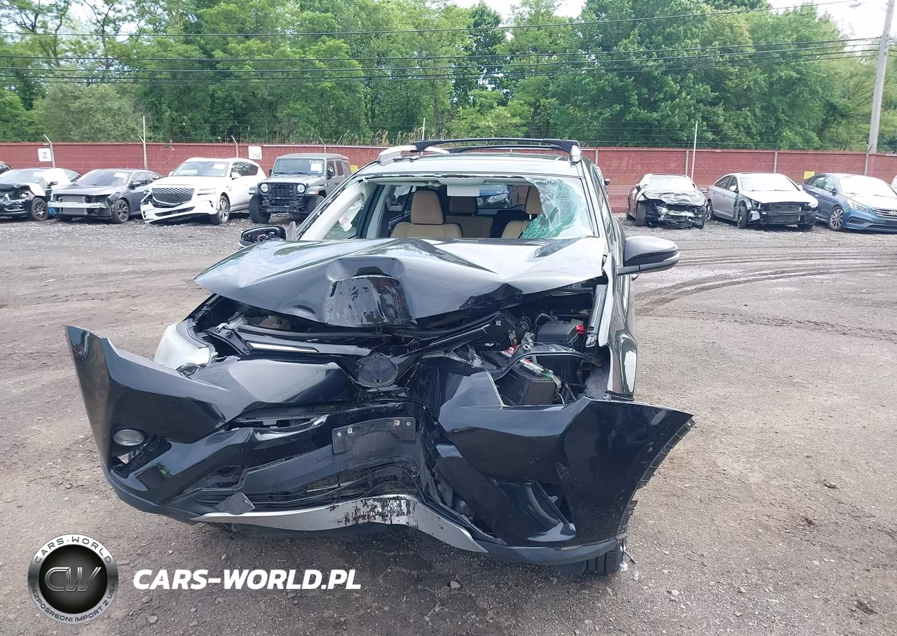 2016 Toyota Rav4 Xle VIN:2T3RFREVXGW461002 - 6