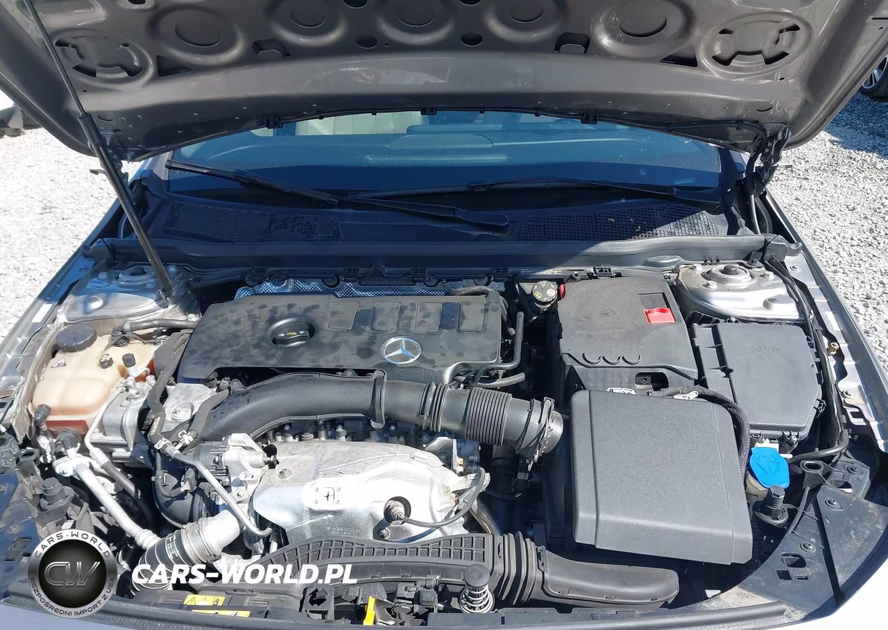 2020 Mercedes-Benz A 220 4Matic VIN:WDD3G4FB5LW039084 - 10