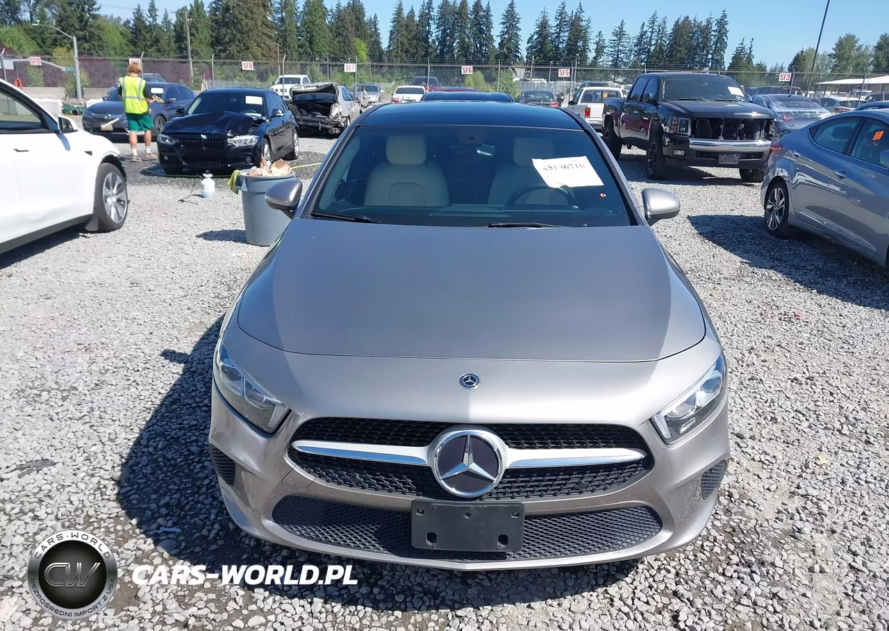 2020 Mercedes-Benz A 220 4Matic VIN:WDD3G4FB5LW039084 - 12