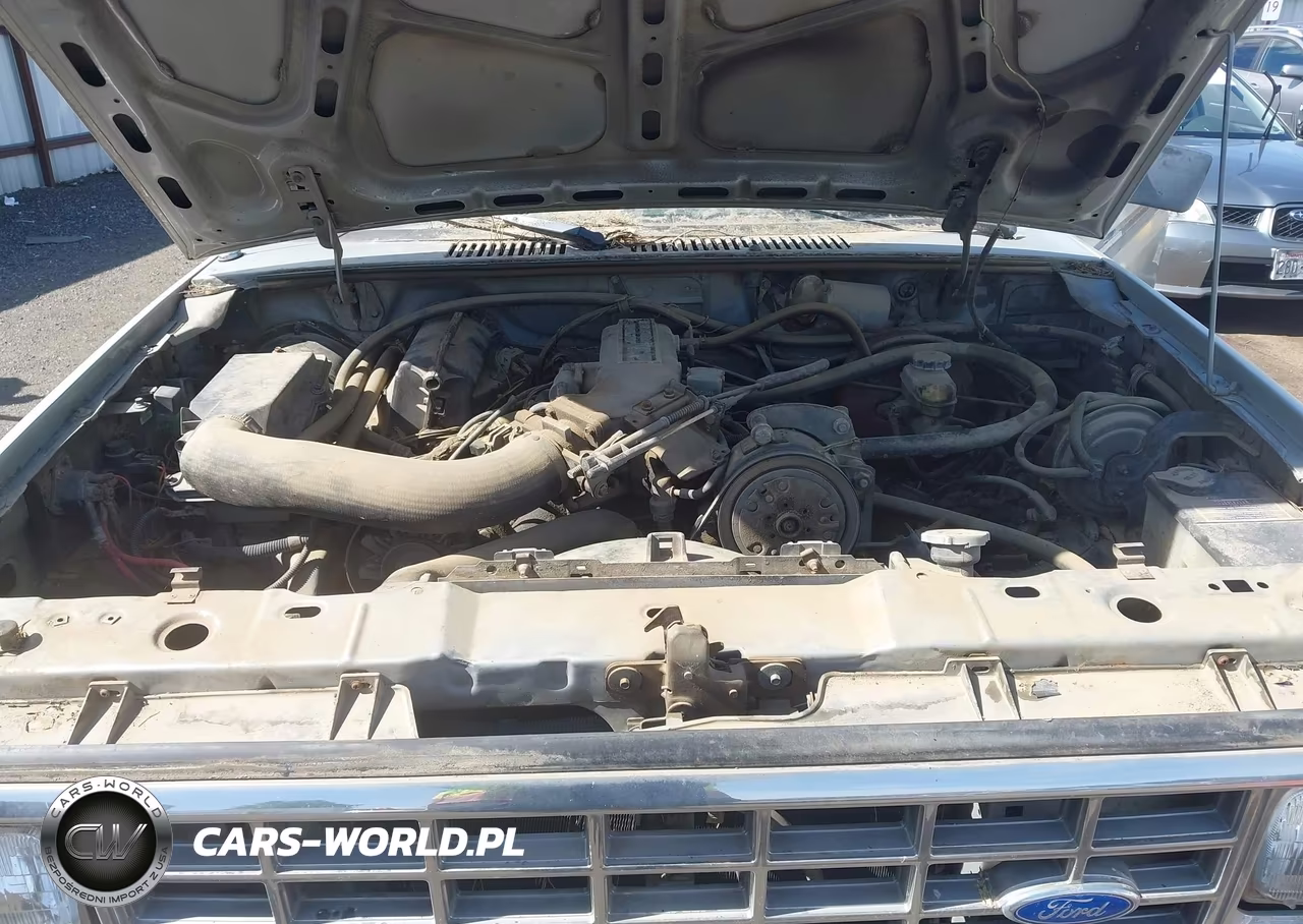 1986 Ford Bronco Ii VIN:1FMBU14T1GUC43290 - 10