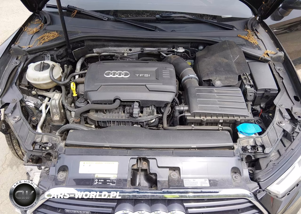 2017 Audi A3 2.0T Premium VIN:WAUJ8GFF5H1049666 - 10