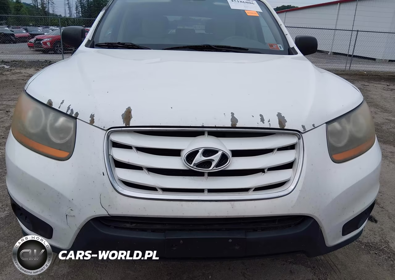 2010 Hyundai Santa Fe Gls VIN:5NMSGDAB4AH414752 - 6