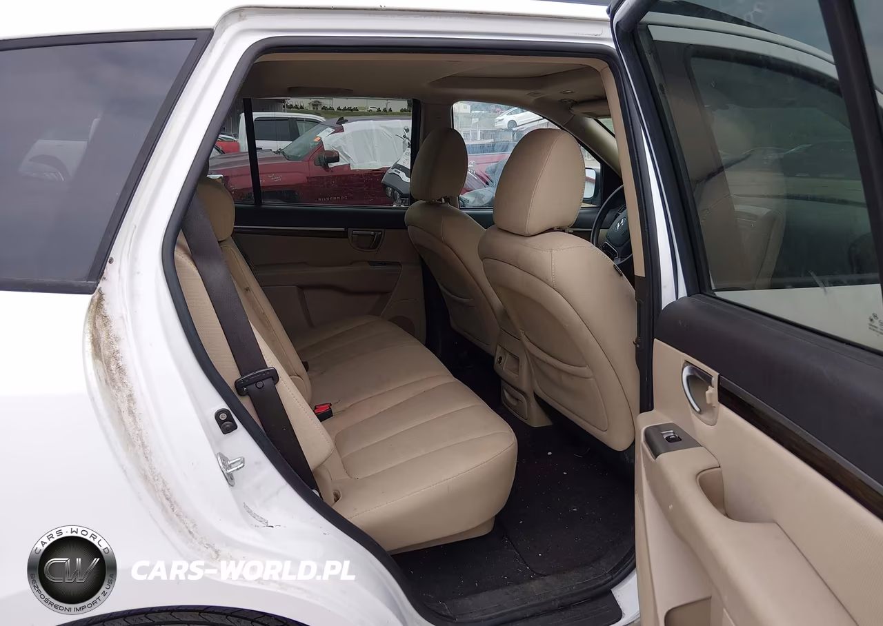 2010 Hyundai Santa Fe Gls VIN:5NMSGDAB4AH414752 - 8