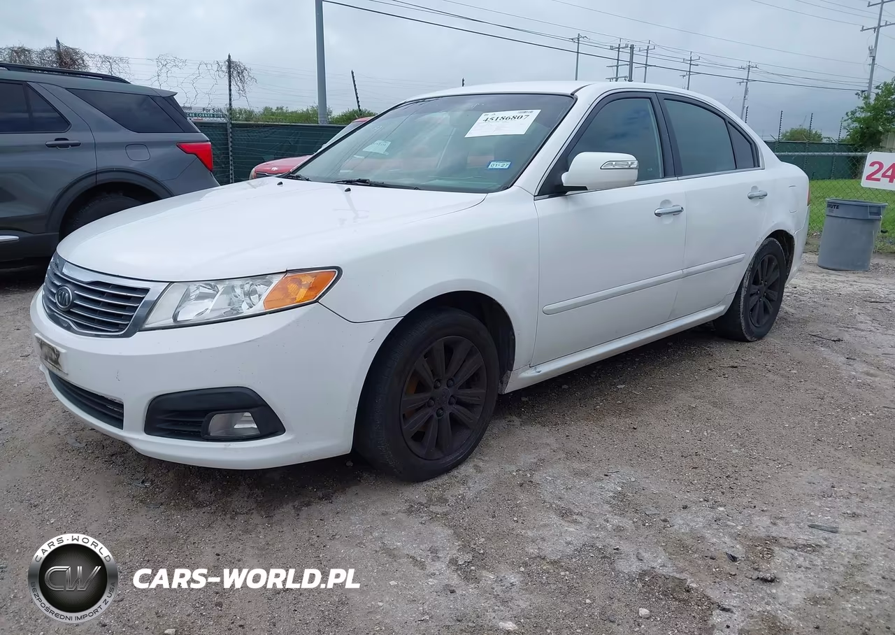 2010 Kia Optima Ex VIN:KNAGH4A80A5439199 - 2