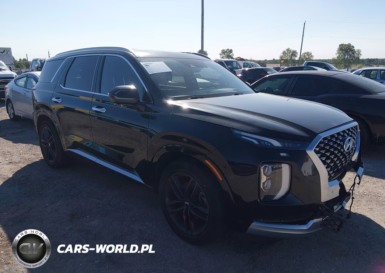 2021 Hyundai Palisade Calligraphy VIN:KM8R7DHE4MU201775 - 1