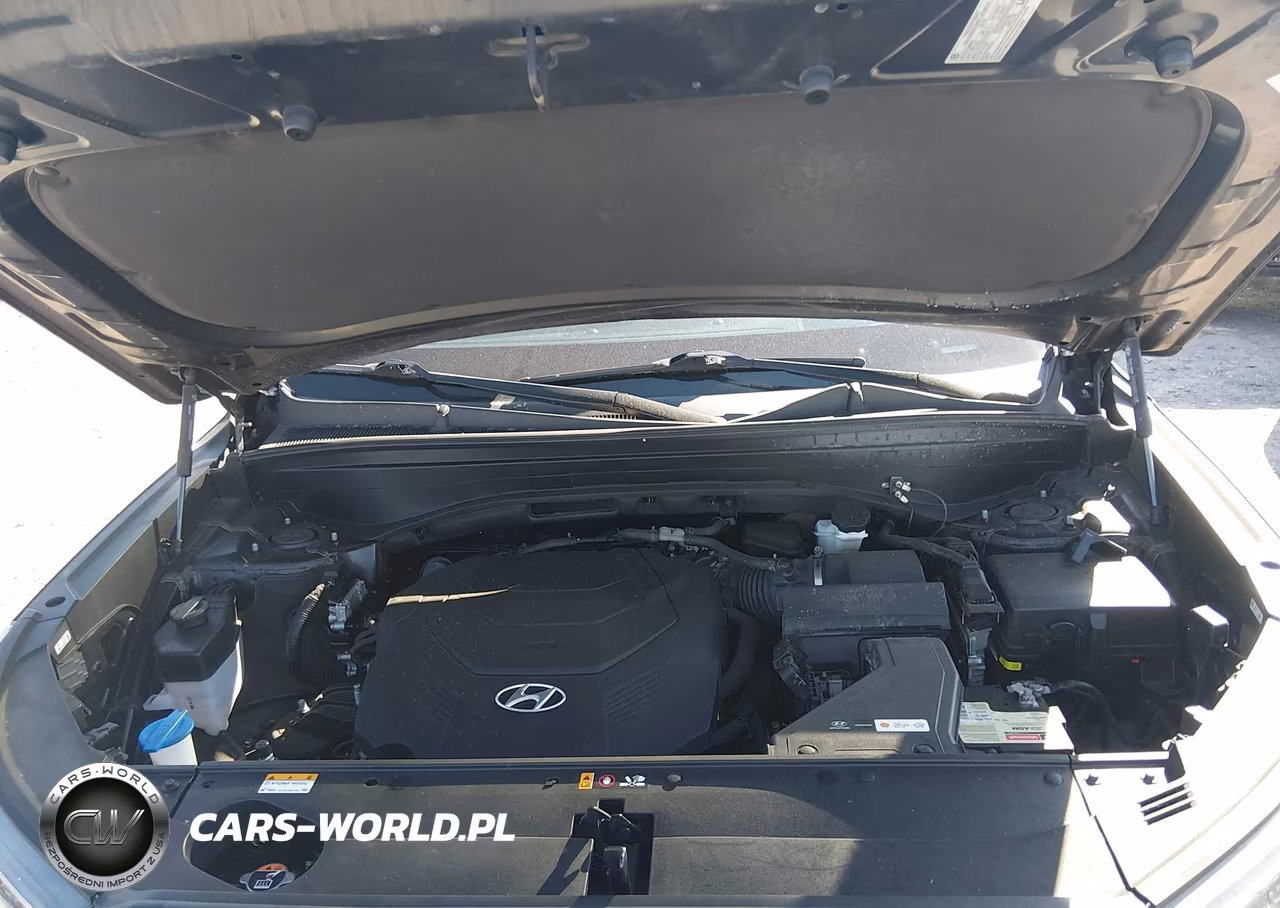 2021 Hyundai Palisade Calligraphy VIN:KM8R7DHE4MU201775 - 10