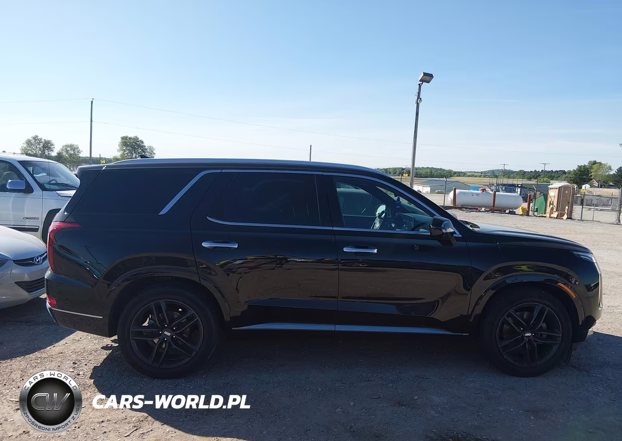 2021 Hyundai Palisade Calligraphy VIN:KM8R7DHE4MU201775 - 13