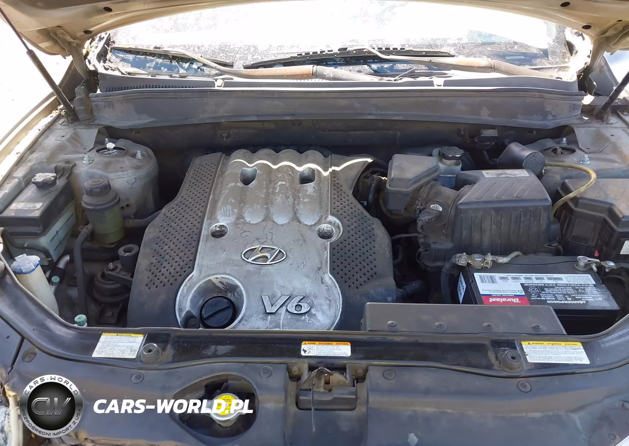 2007 Hyundai Santa Fe Gls VIN:5NMSG13D67H002564 - 10