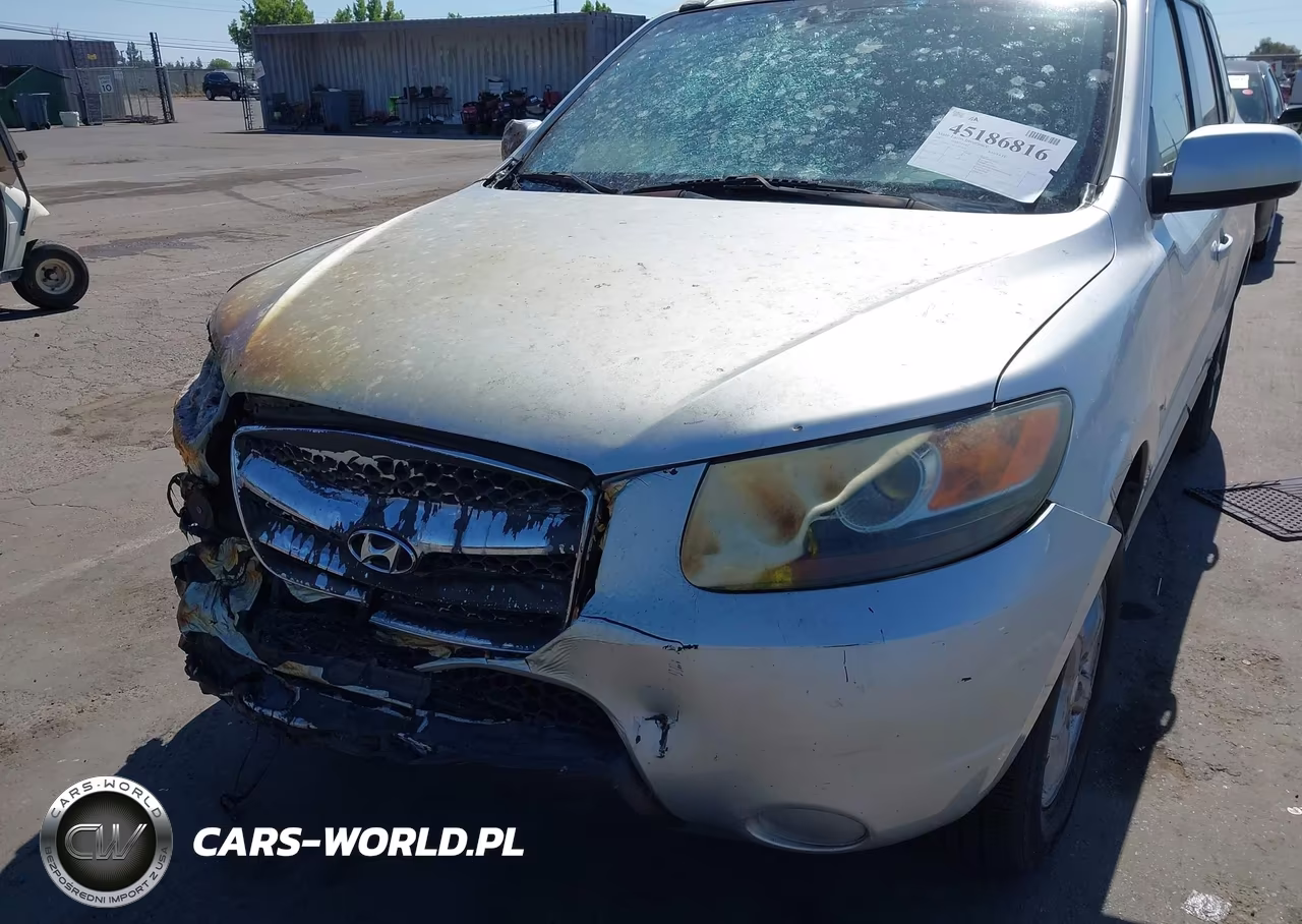 2007 Hyundai Santa Fe Gls VIN:5NMSG13D67H002564 - 12