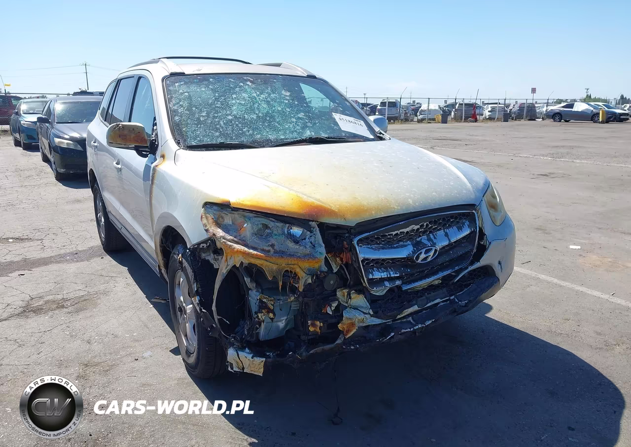 2007 Hyundai Santa Fe Gls VIN:5NMSG13D67H002564 - 6