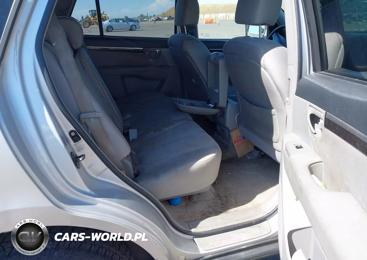 2007 Hyundai Santa Fe Gls VIN:5NMSG13D67H002564 - 8