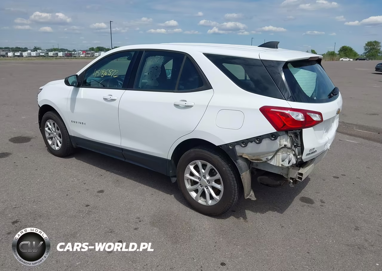 2018 Chevrolet Equinox Ls VIN:2GNAXREV8J6132271 - 3