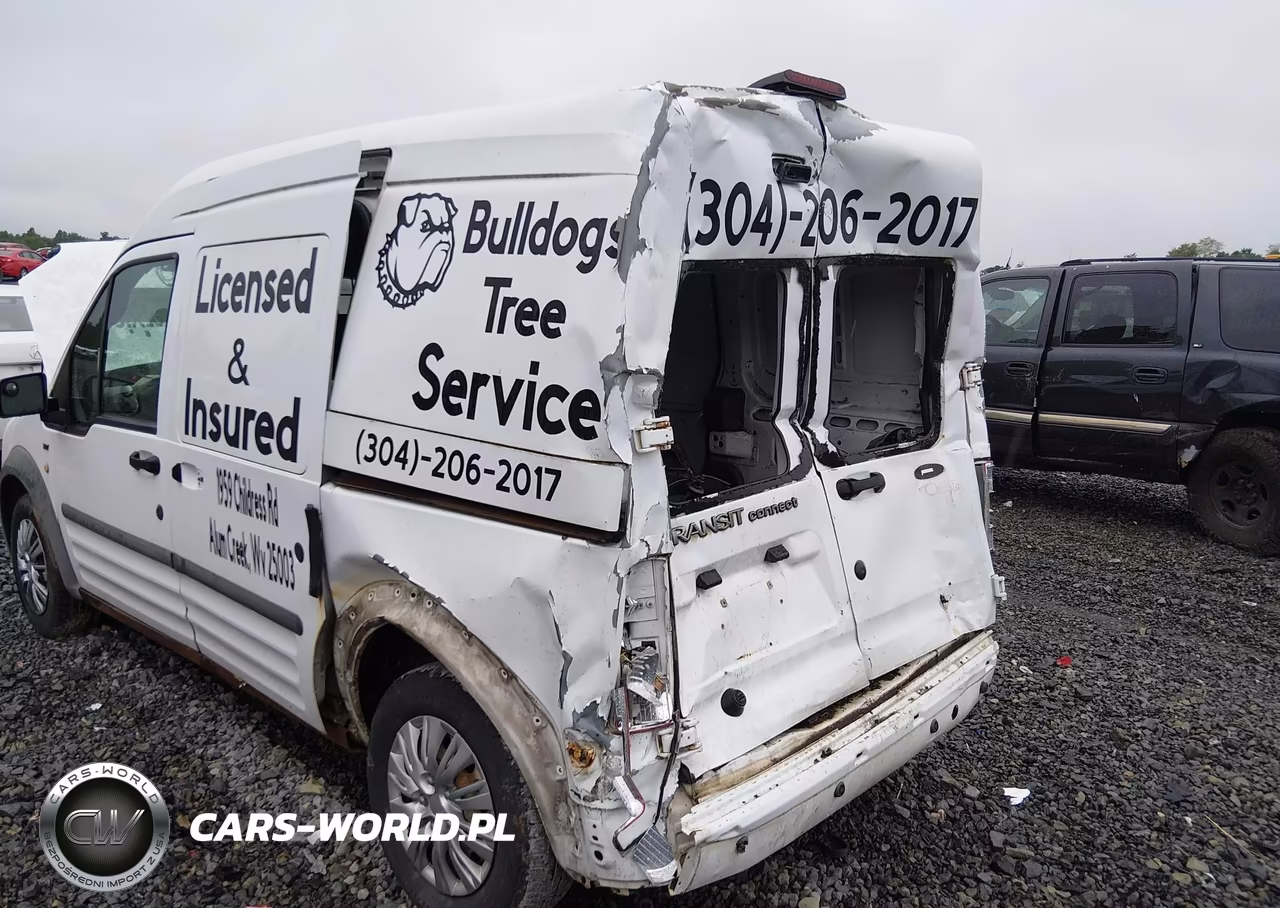 2010 Ford Transit Connect Xlt VIN:NM0LS7DN3AT028295 - 6