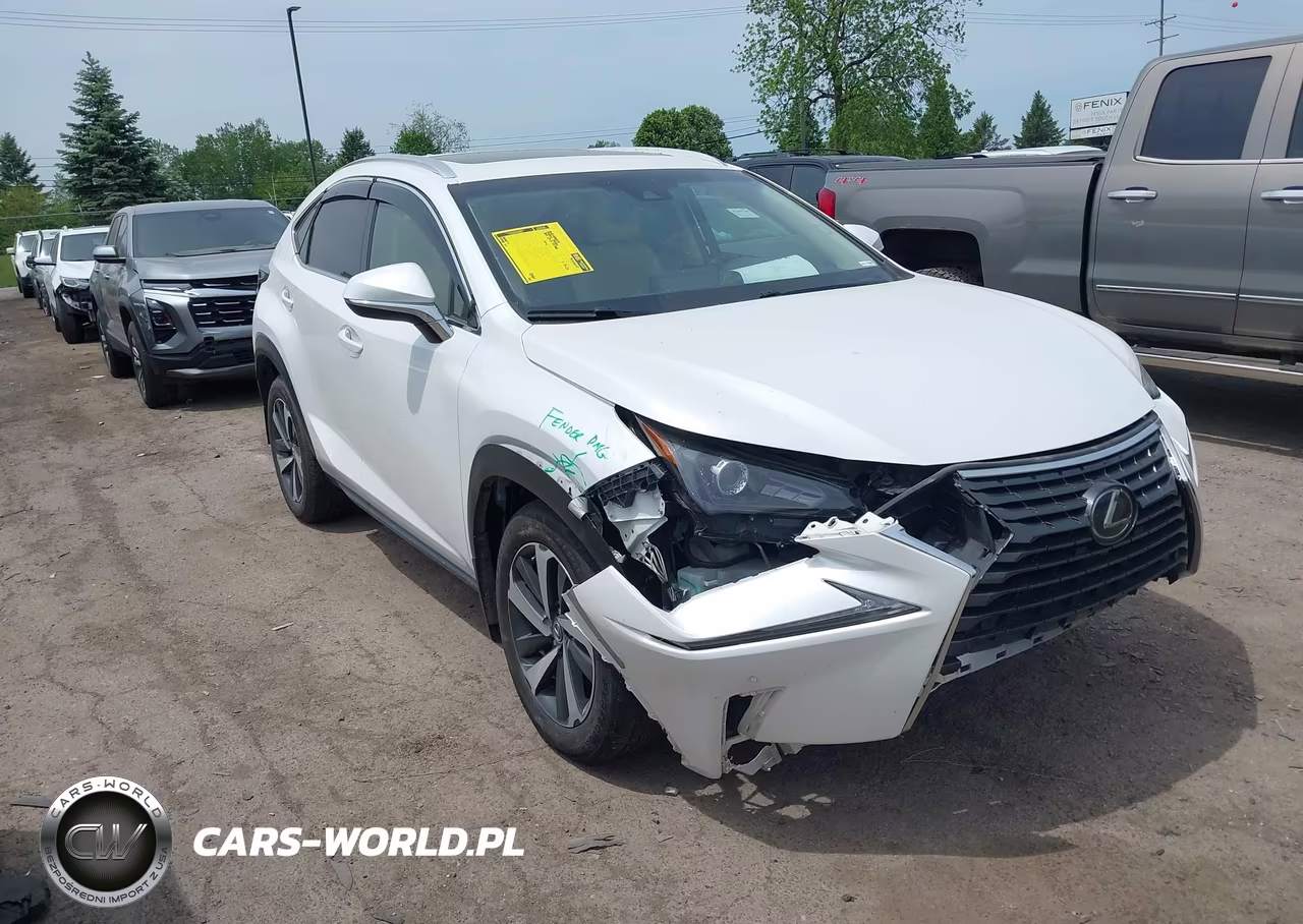 2019 Lexus Nx 300 – zdjęcie 1 z 16
