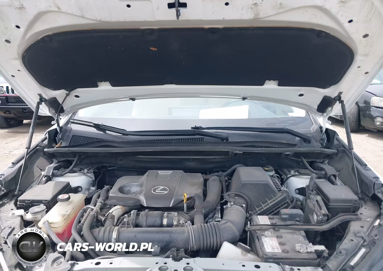 2019 Lexus Nx 300 VIN:JTJBARBZ9K2210946 - 10