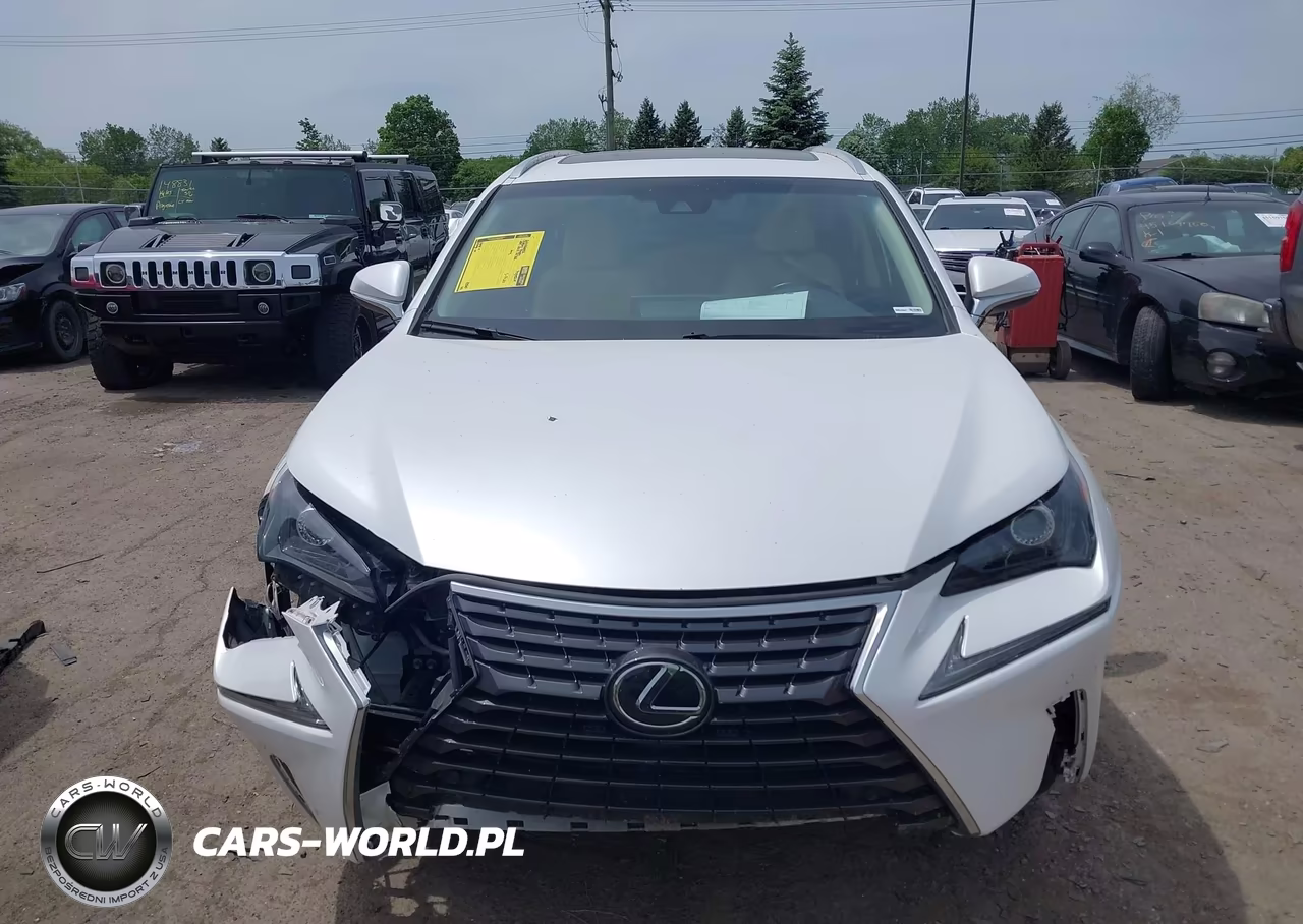 2019 Lexus Nx 300 VIN:JTJBARBZ9K2210946 - 12