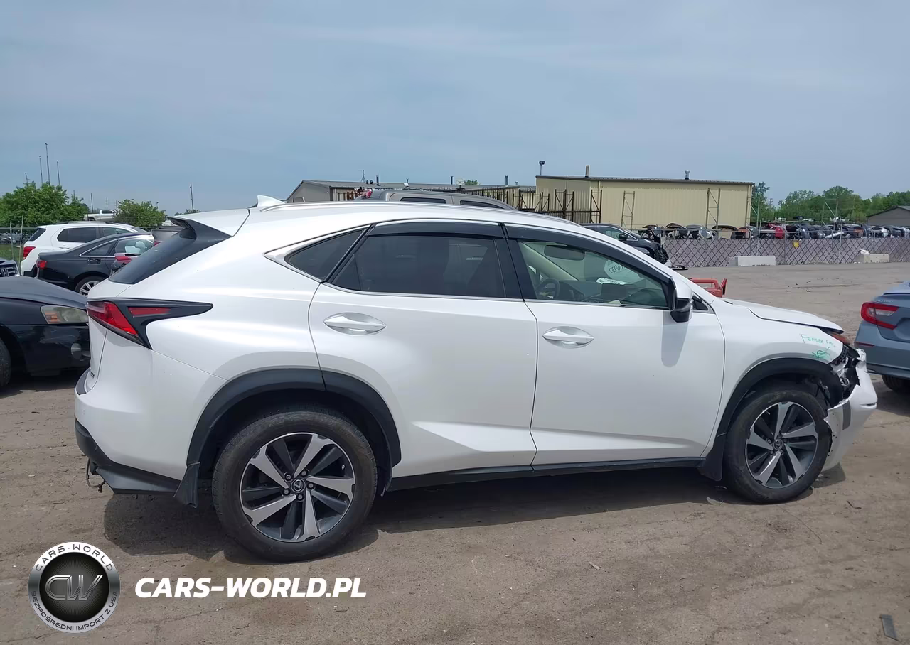 2019 Lexus Nx 300 VIN:JTJBARBZ9K2210946 - 13