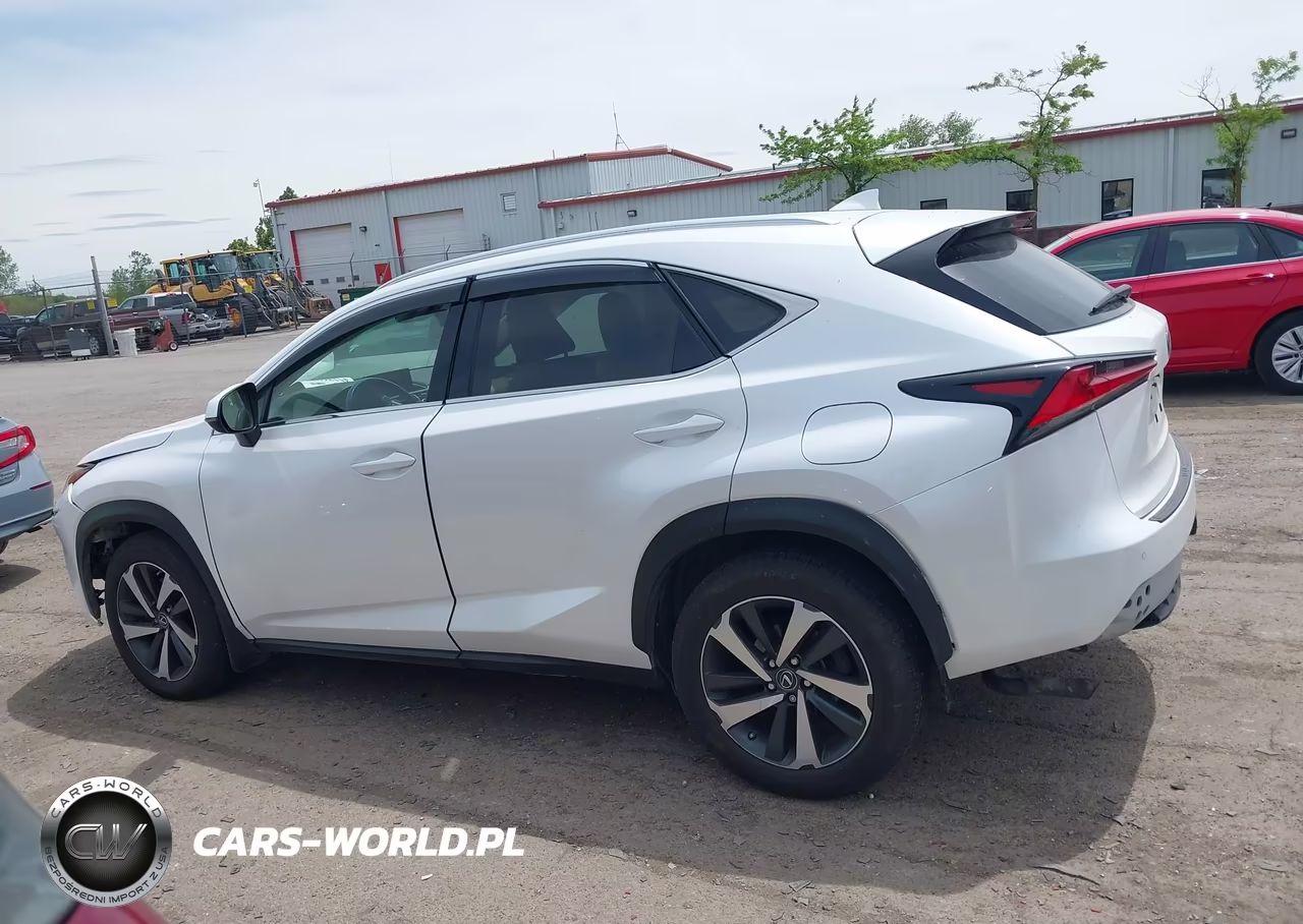 2019 Lexus Nx 300 VIN:JTJBARBZ9K2210946 - 14