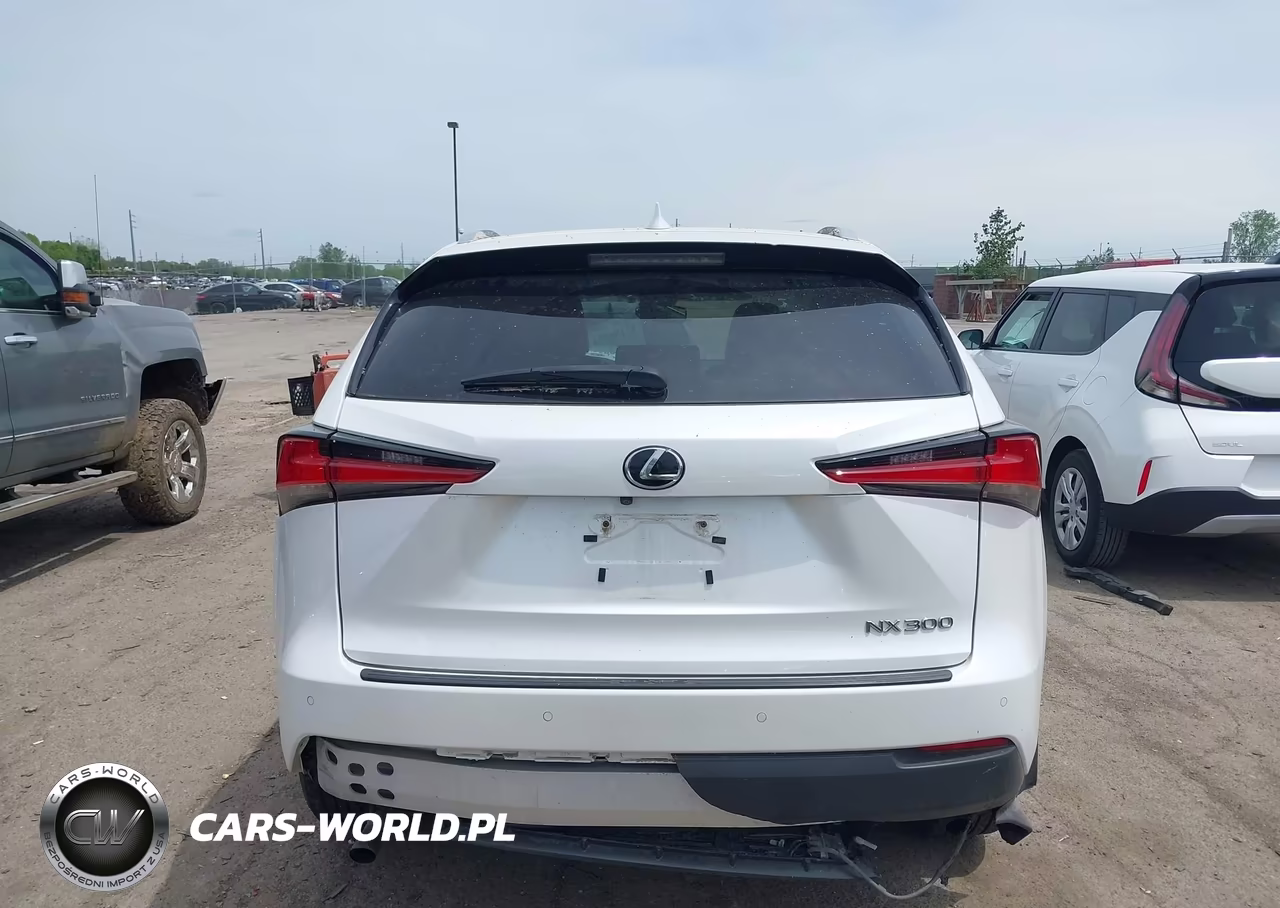 2019 Lexus Nx 300 VIN:JTJBARBZ9K2210946 - 16