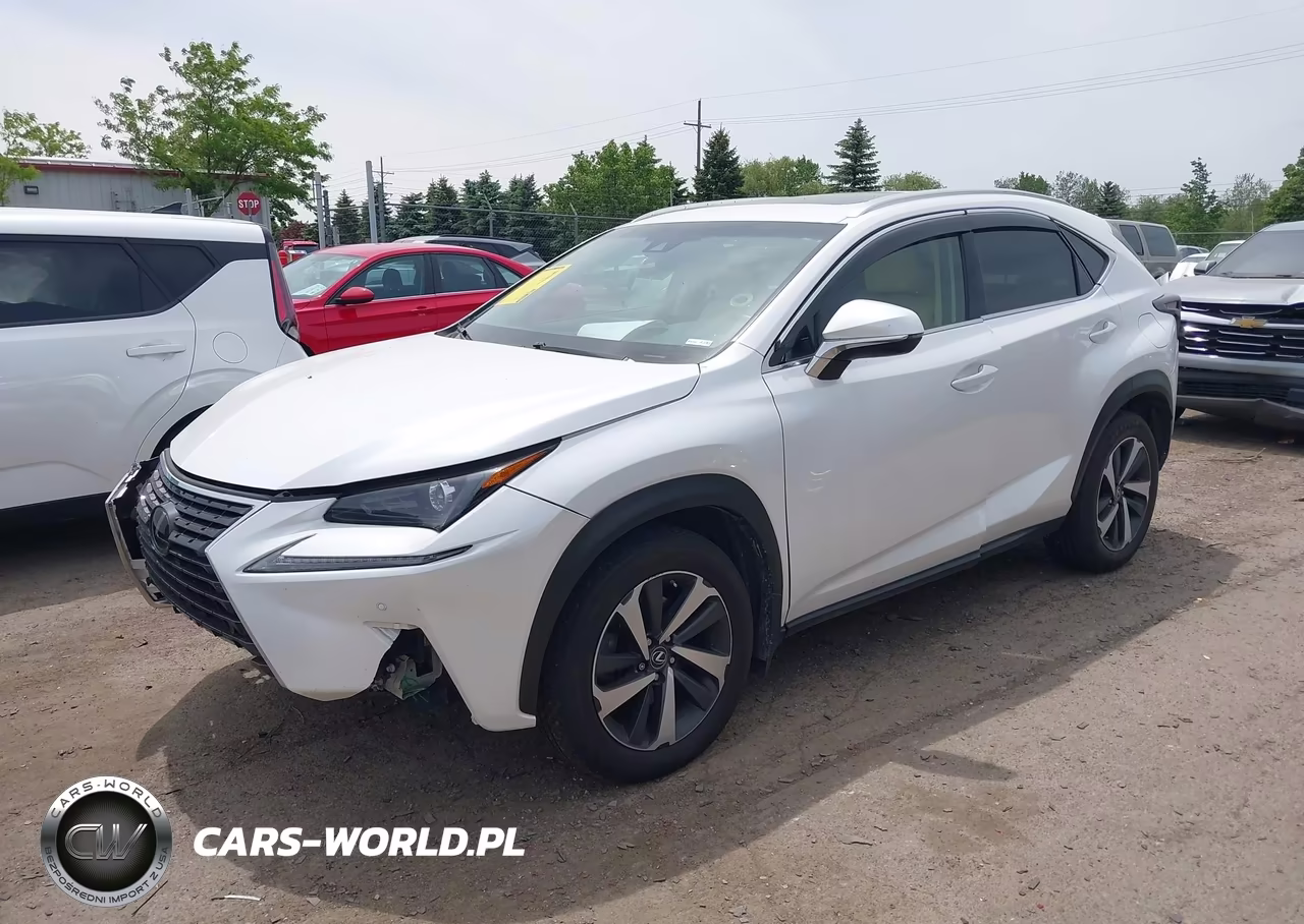 2019 Lexus Nx 300 VIN:JTJBARBZ9K2210946 - 2