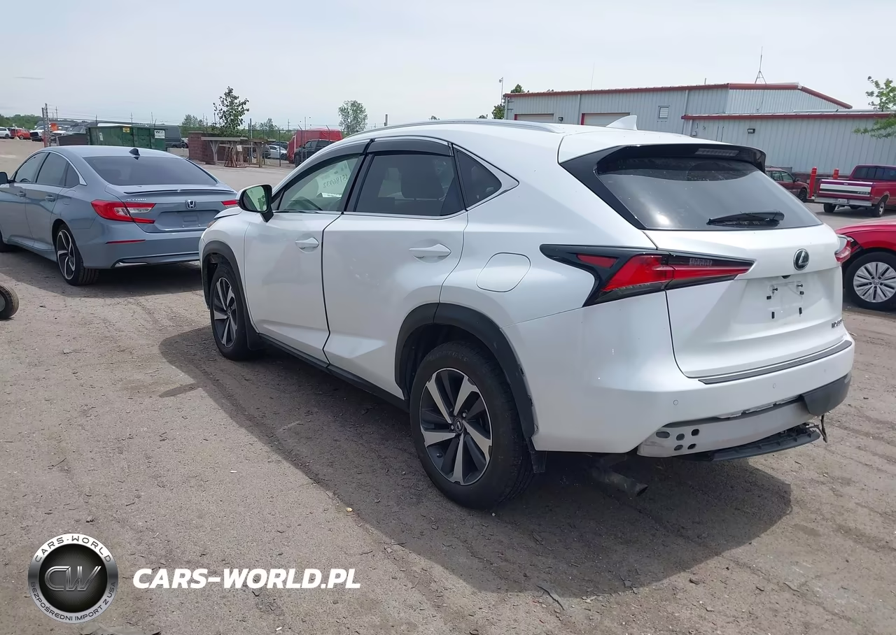 2019 Lexus Nx 300 VIN:JTJBARBZ9K2210946 - 3