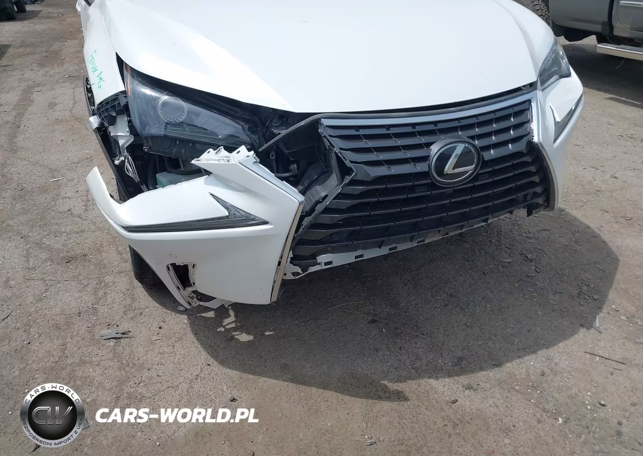 2019 Lexus Nx 300 VIN:JTJBARBZ9K2210946 - 6
