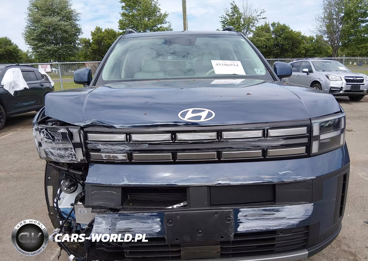 2025 Hyundai Santa Fe Sel VIN:5NMP2DGL5SH089504 - 12