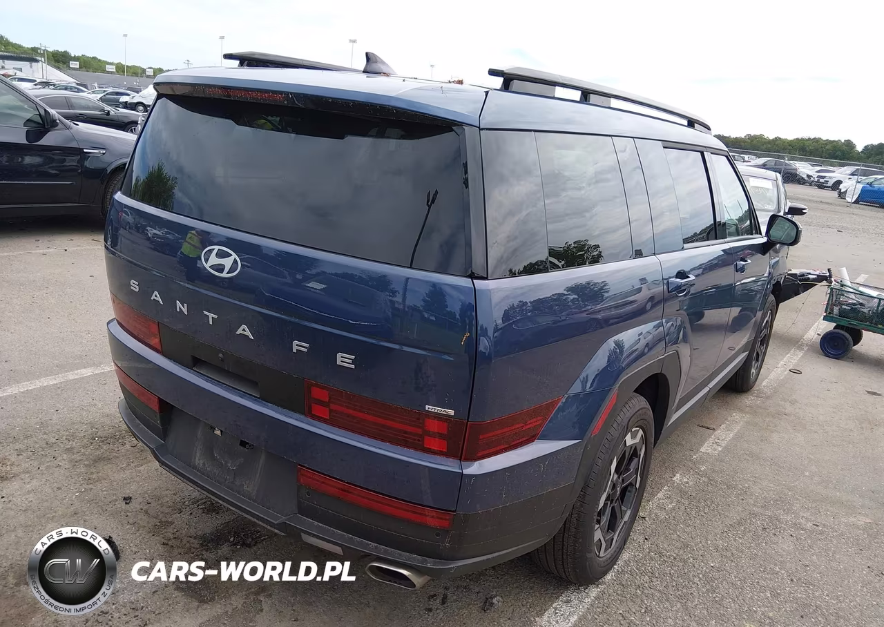 2025 Hyundai Santa Fe Sel VIN:5NMP2DGL5SH089504 - 4