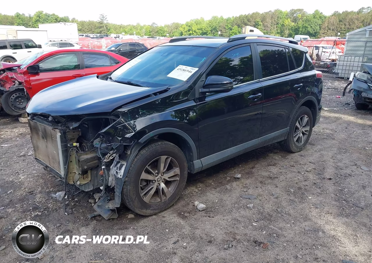 2017 Toyota Rav4 Xle VIN:2T3WFREV0HW313395 - 2