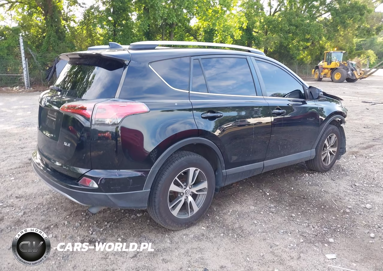 2017 Toyota Rav4 Xle VIN:2T3WFREV0HW313395 - 4