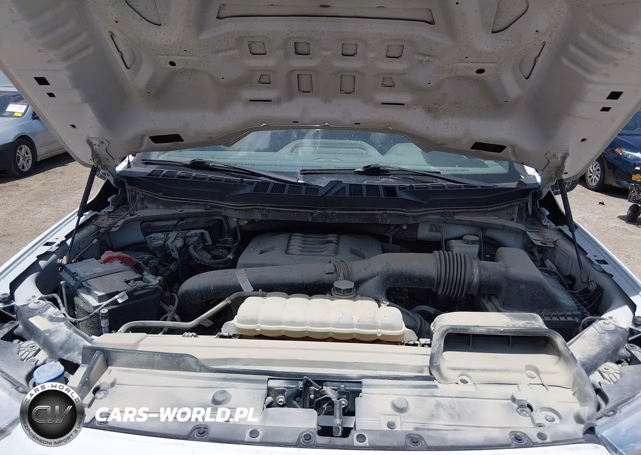 2021 Ford F-150 Xl VIN:1FTFX1E89MFB29965 - 10