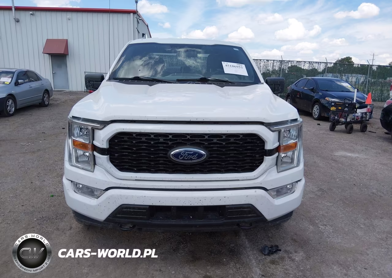 2021 Ford F-150 Xl VIN:1FTFX1E89MFB29965 - 12