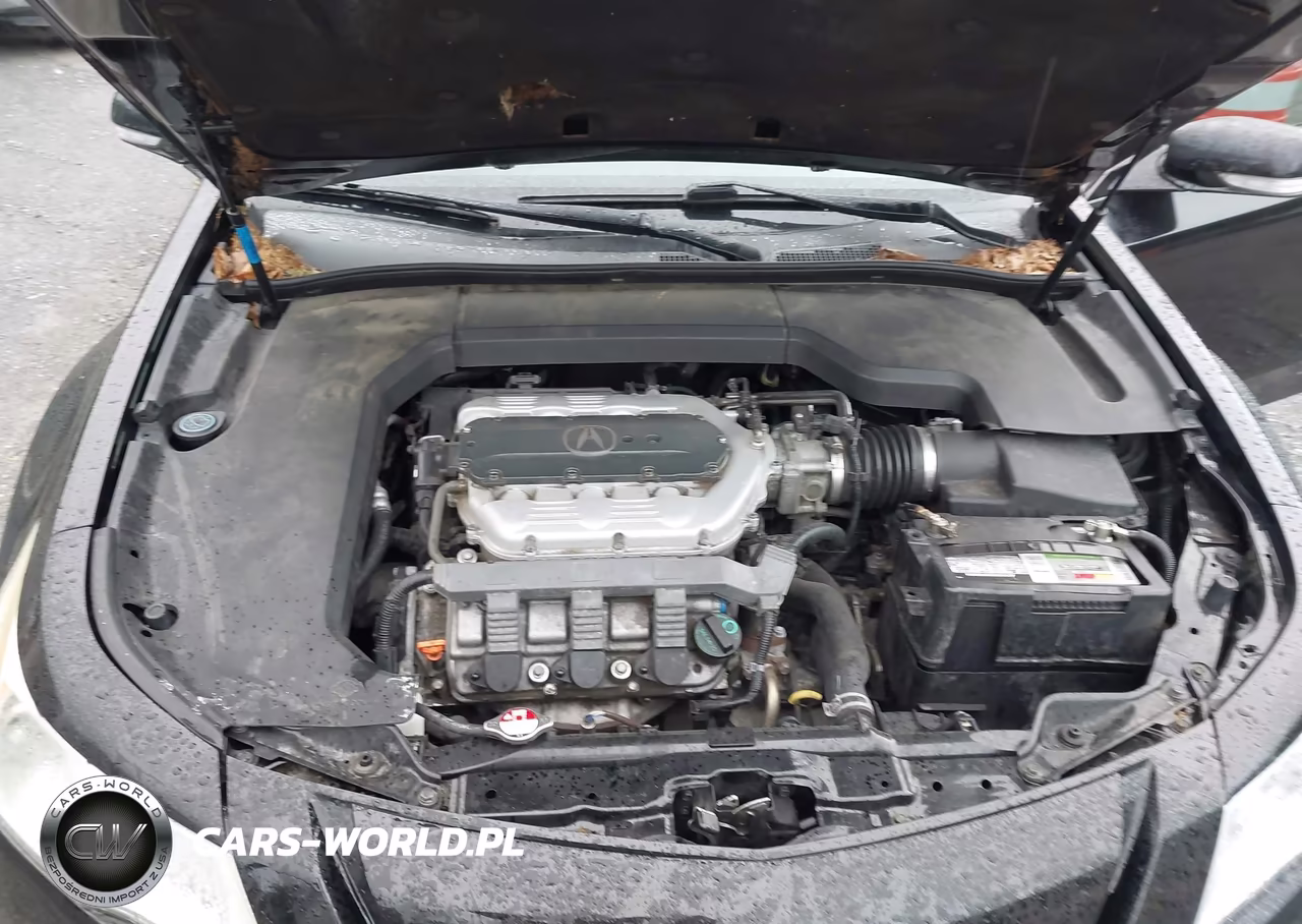 2010 Acura Tl 3.7 VIN:19UUA9F51AA005971 - 10